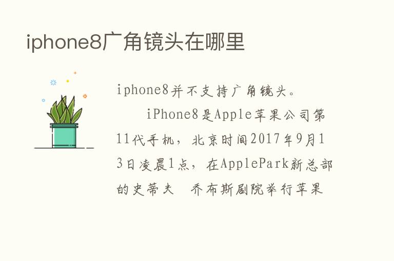 iphone8广角镜头在哪里