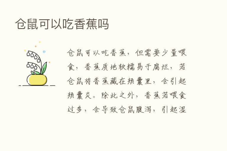 仓鼠可以吃香蕉吗