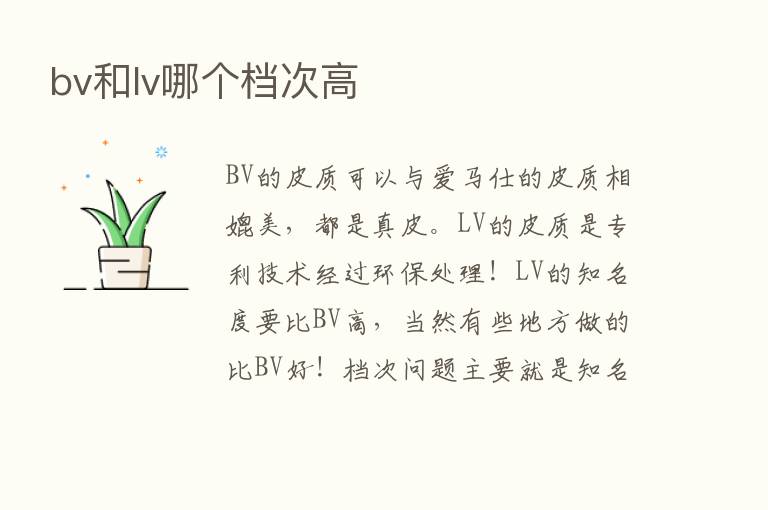 bv和lv哪个档次高