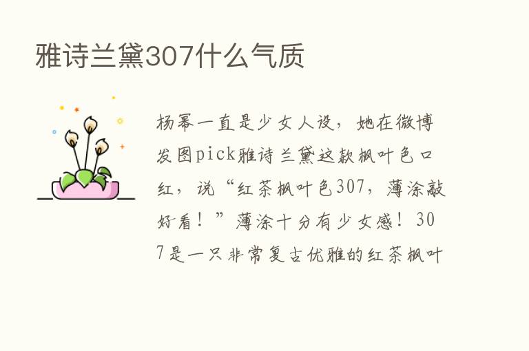 雅诗兰黛307什么气质