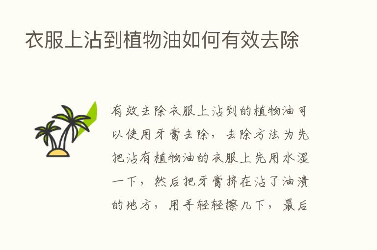 衣服上沾到植物油如何有效去除