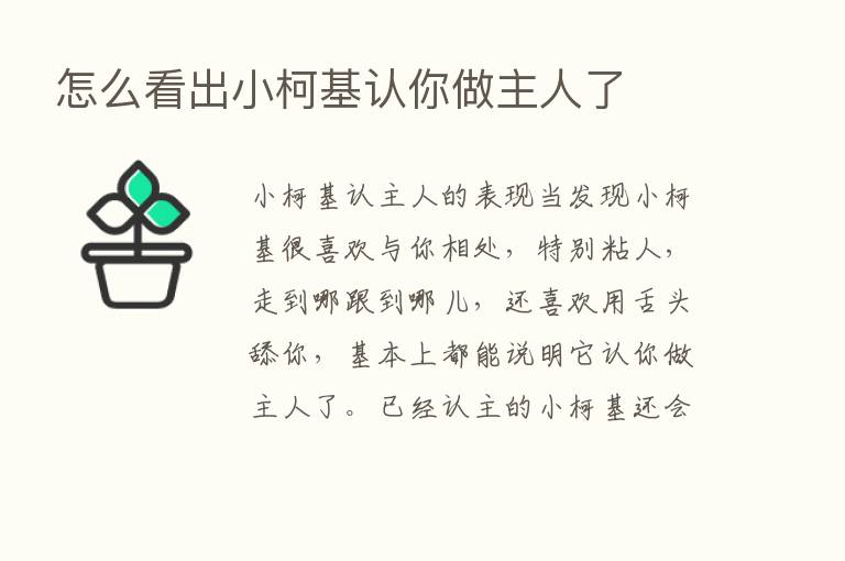 怎么看出小柯基认你做主人了