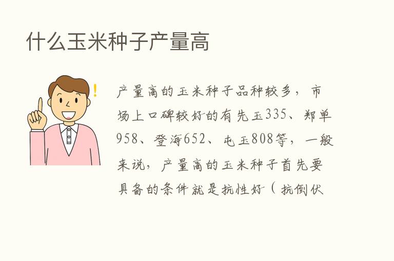 什么玉米种子产量高