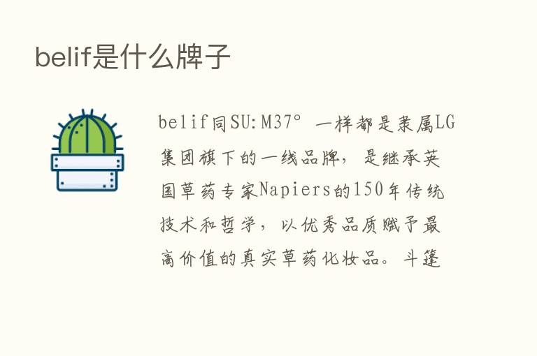 belif是什么牌子