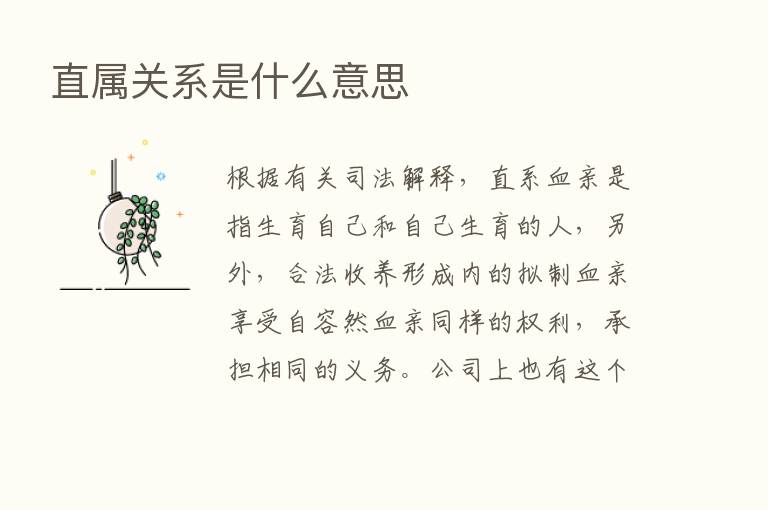 直属关系是什么意思