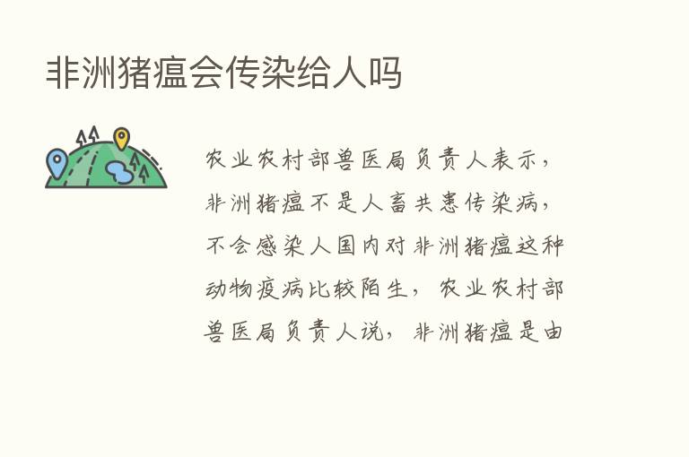 非洲猪瘟会传染给人吗