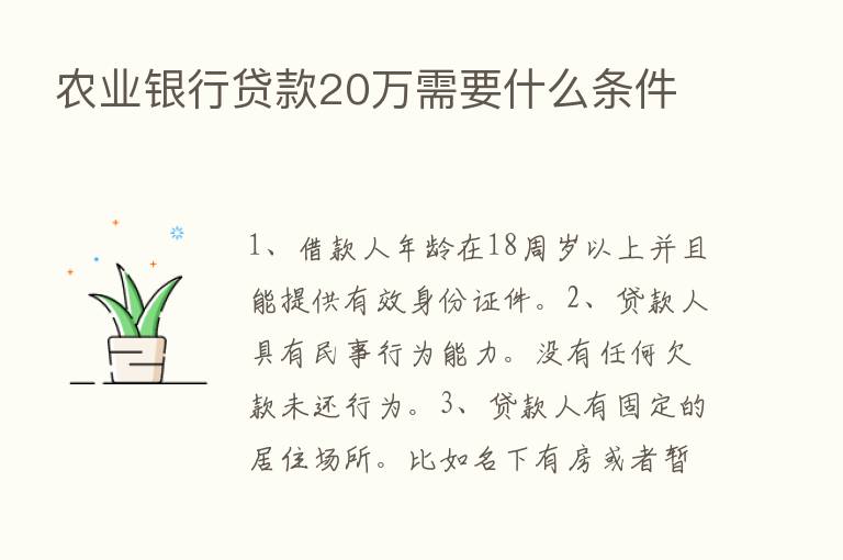 农业银行贷款20万需要什么条件