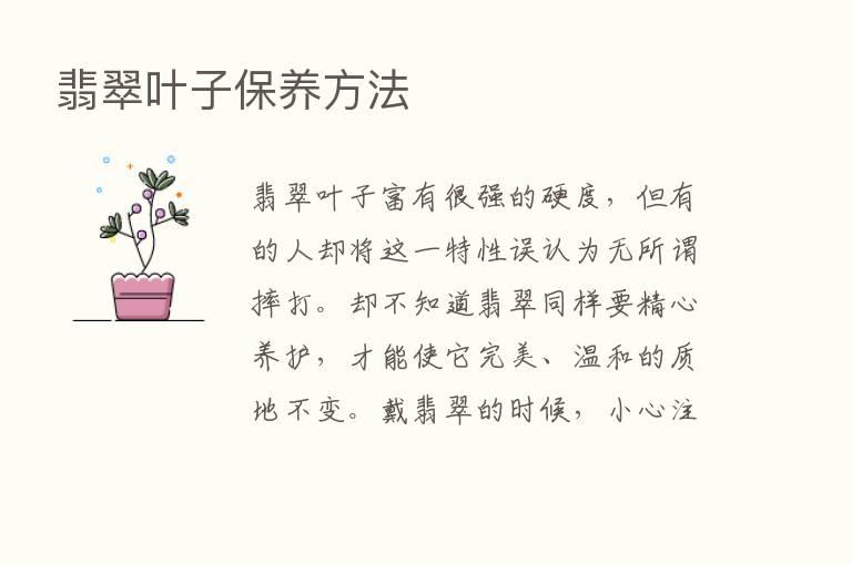 翡翠叶子保养方法