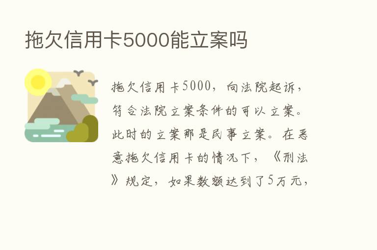 拖欠信用卡5000能立案吗