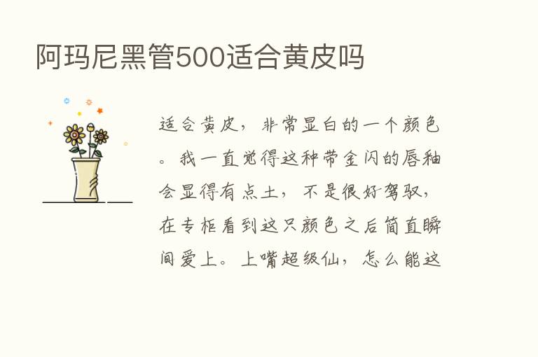 阿玛尼黑管500适合黄皮吗