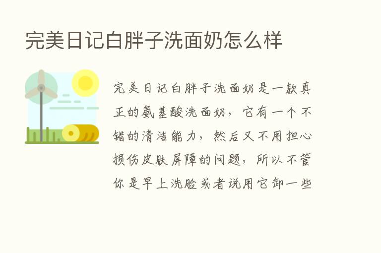 完美日记白胖子洗面奶怎么样