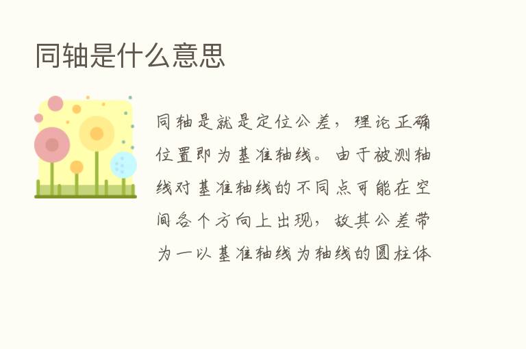 同轴是什么意思