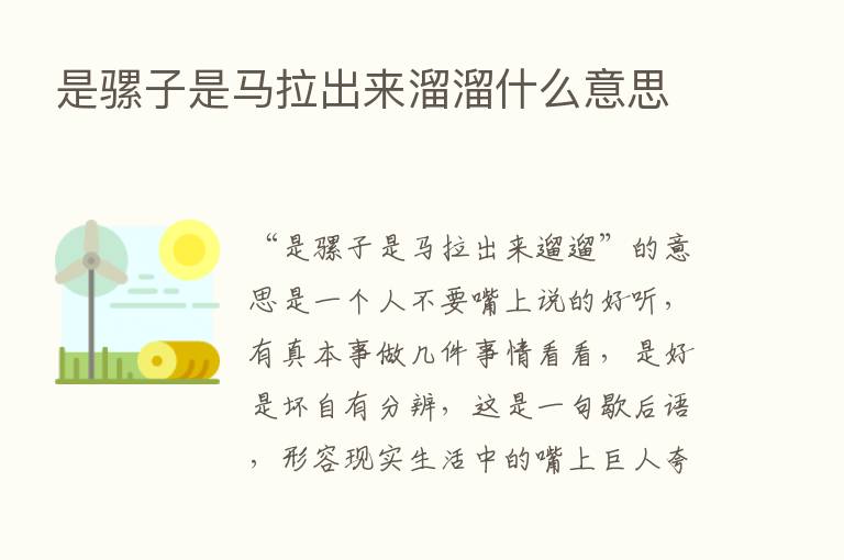 是骡子是马拉出来溜溜什么意思