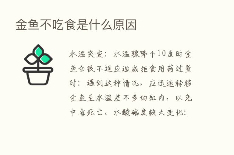 金鱼不吃食是什么原因