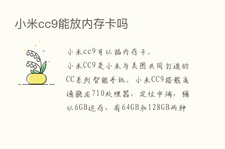 小米cc9能放内存卡吗