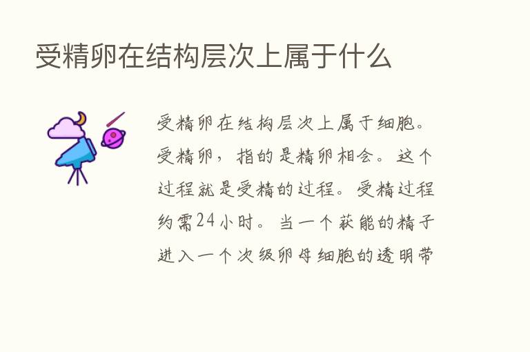 受精卵在结构层次上属于什么