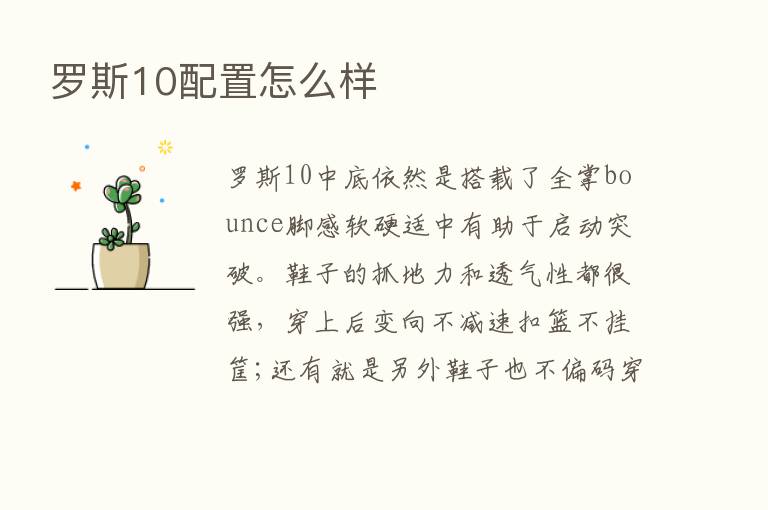 罗斯10配置怎么样