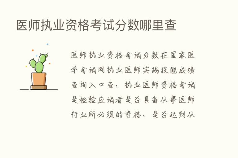 医师执业资格考试分数哪里查