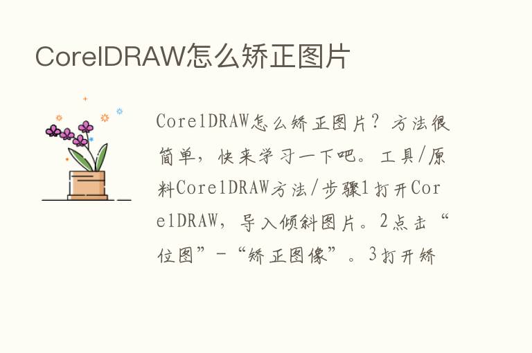 CorelDRAW怎么矫正图片