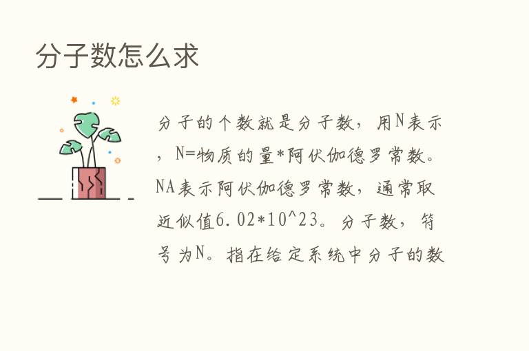 分子数怎么求