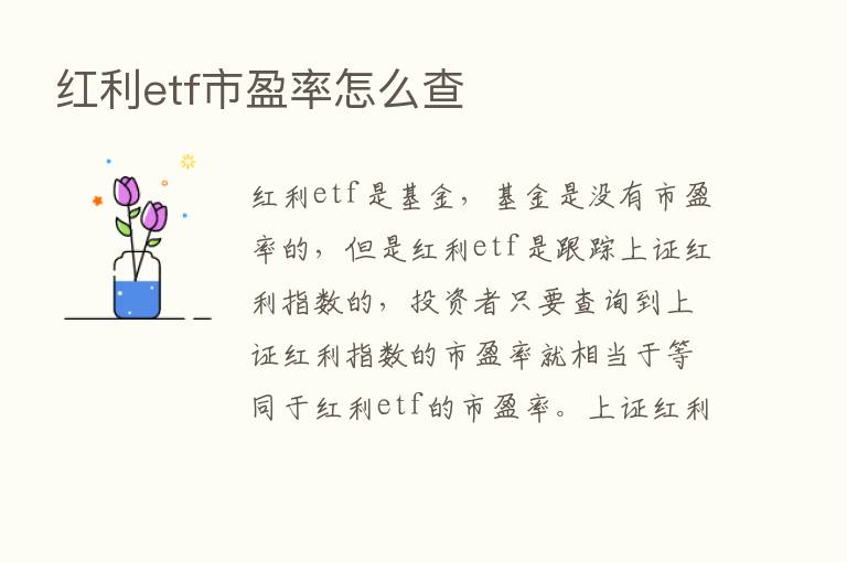 红利etf市盈率怎么查