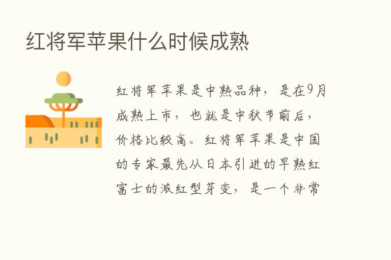 红将军苹果什么时候成熟