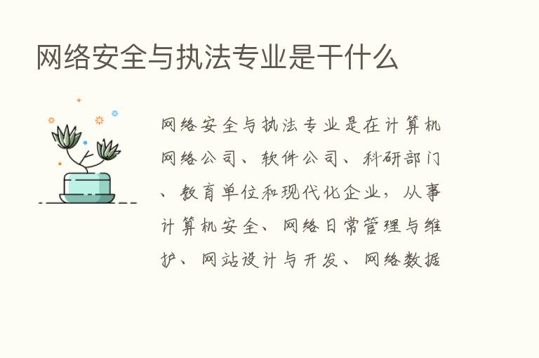 网络安全与执法专业是干什么