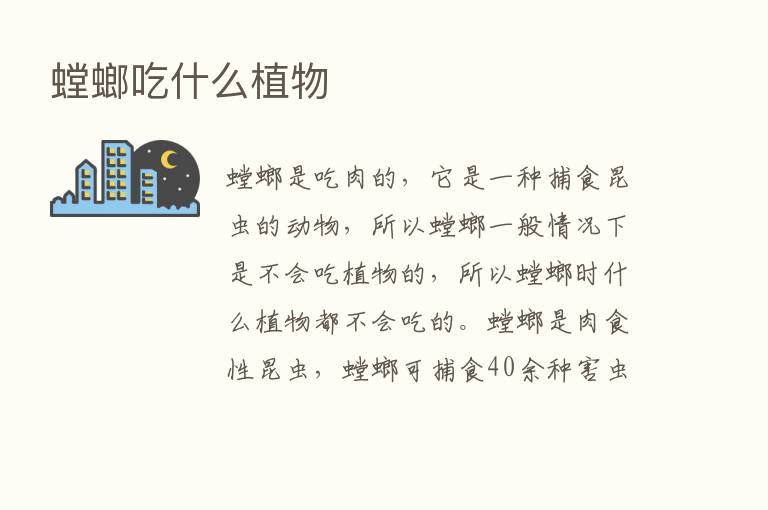 螳螂吃什么植物