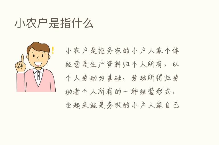 小农户是指什么