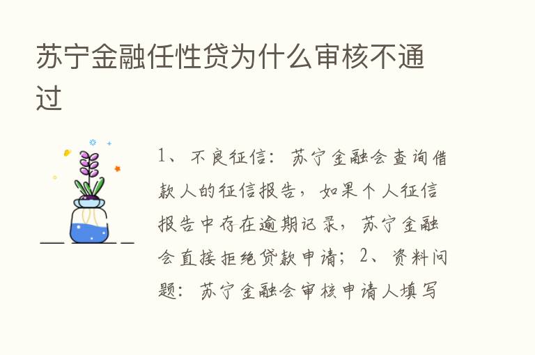 苏宁金融任性贷为什么审核不通过