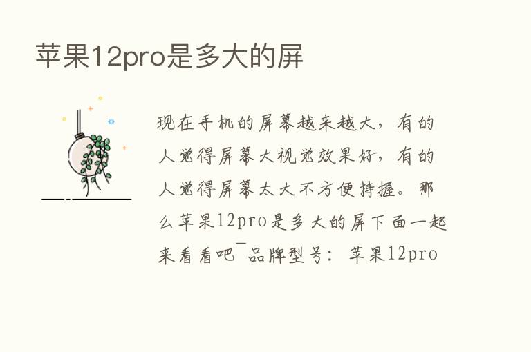 苹果12pro是多大的屏