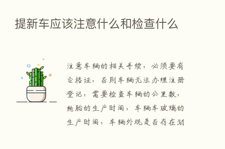 提新车应该注意什么和检查什么