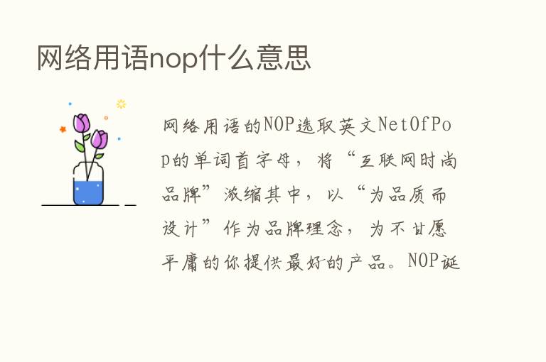 网络用语nop什么意思