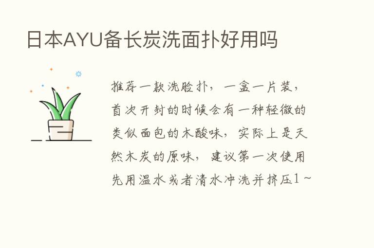 日本AYU备长炭洗面扑好用吗