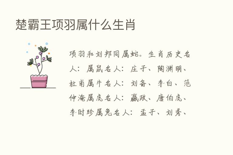 楚霸王项羽属什么生肖