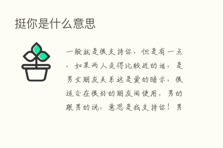 挺你是什么意思