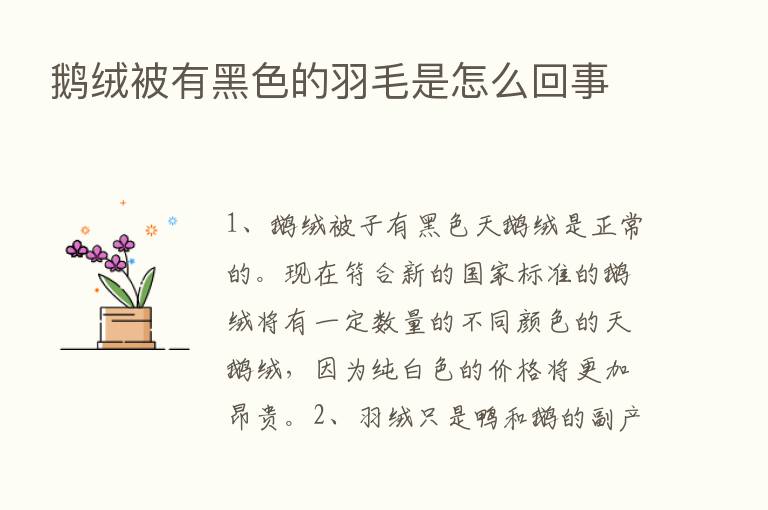 鹅绒被有黑色的羽毛是怎么回事