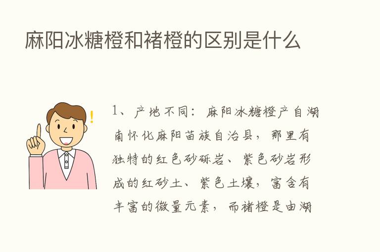 麻阳冰糖橙和褚橙的区别是什么