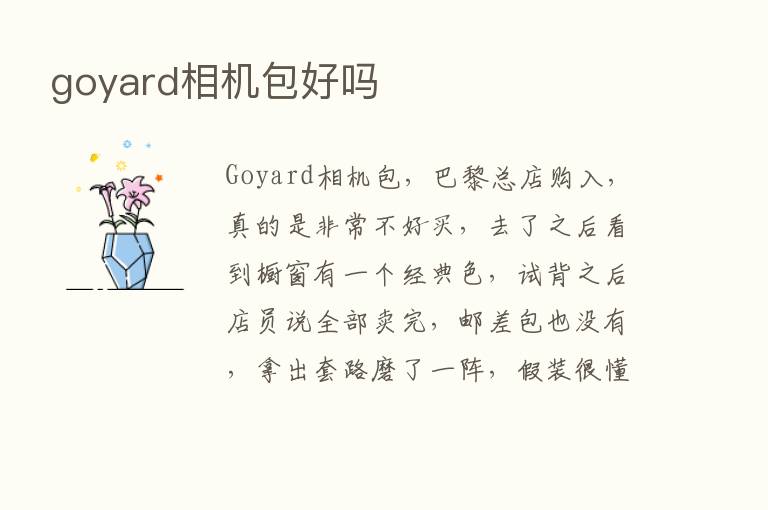 goyard相机包好吗