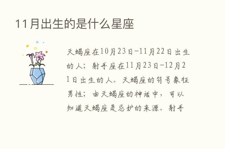 11月出生的是什么星座