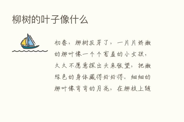 柳树的叶子像什么