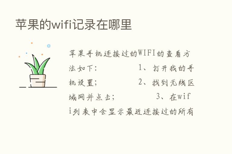 苹果的wifi记录在哪里