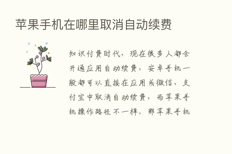 苹果手机在哪里取消自动续费