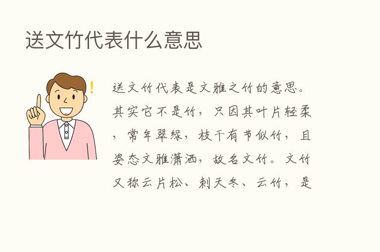 送文竹代表什么意思