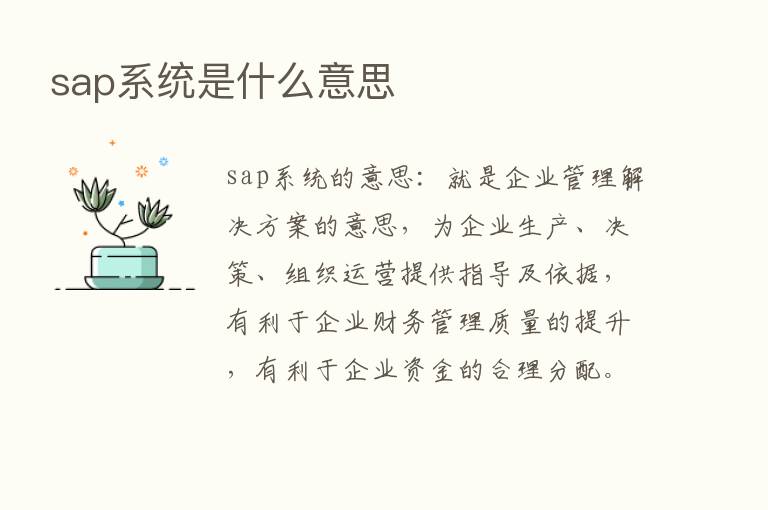 sap系统是什么意思