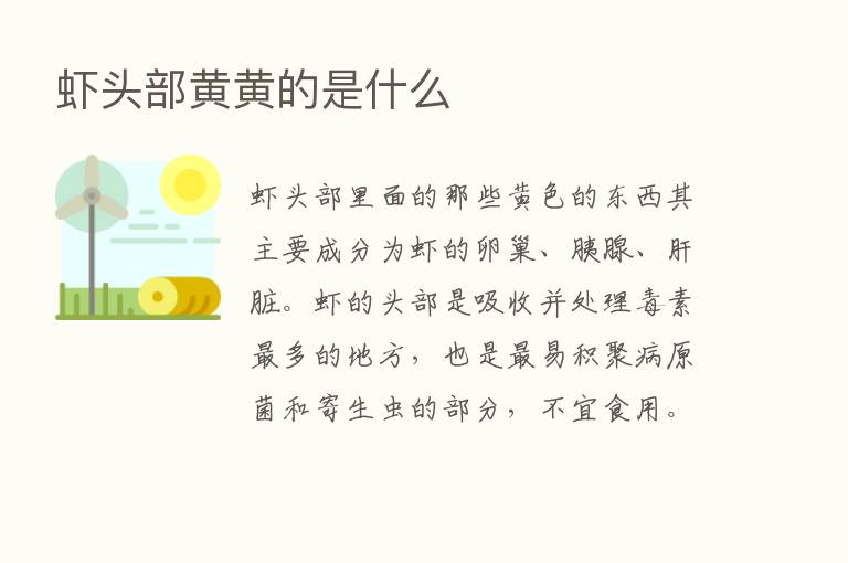 虾头部黄黄的是什么