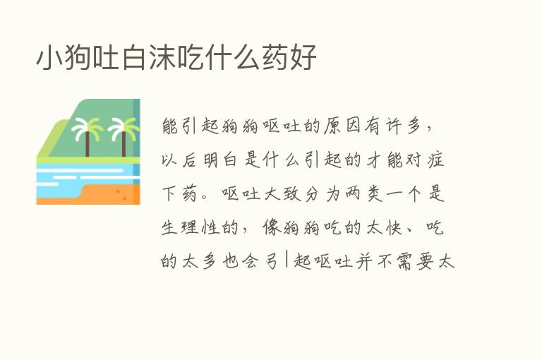 小狗吐白沫吃什么药好