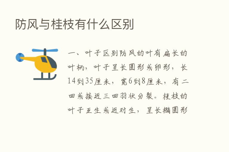 防风与桂枝有什么区别