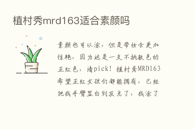 植村秀mrd163适合素颜吗