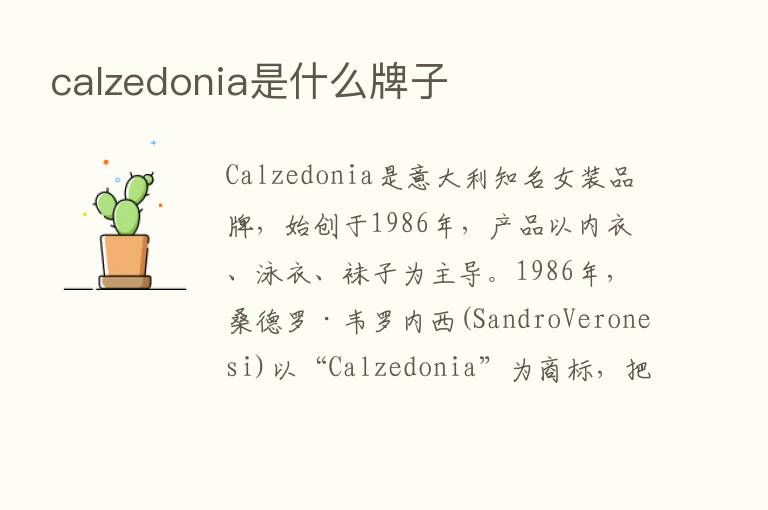 calzedonia是什么牌子